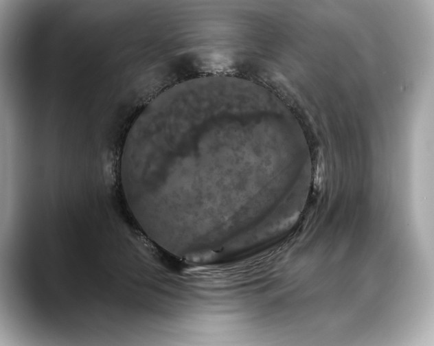 X0000088690658200705311157