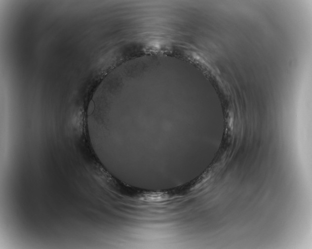 X0000088690659200705311157
