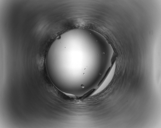 X0000088690660200705311157