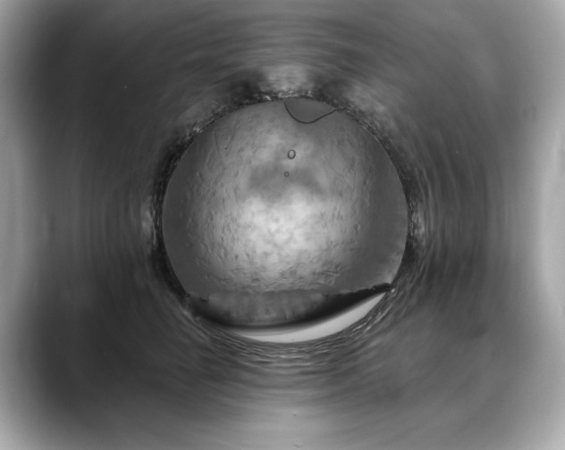X0000088690662200705311157