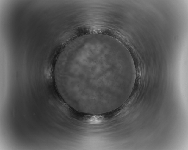 X0000088690663200705311157