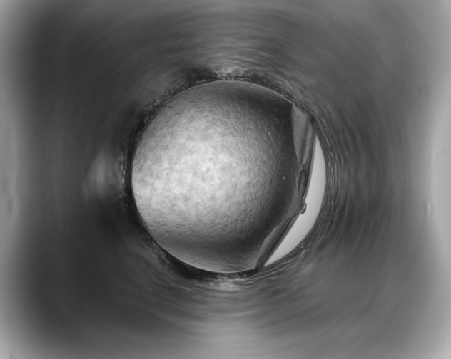 X0000088690664200705311157