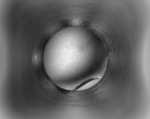 X0000088690665200705311157