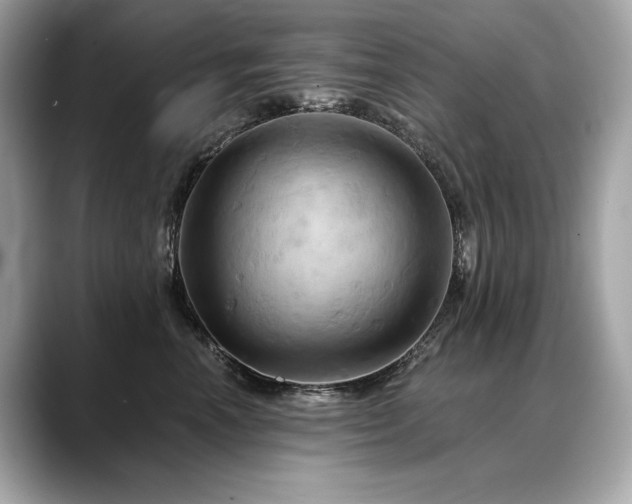 X0000088690666200705311157