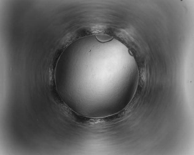 X0000088690667200705311157