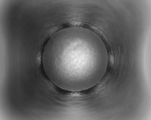 X0000088690668200705311157