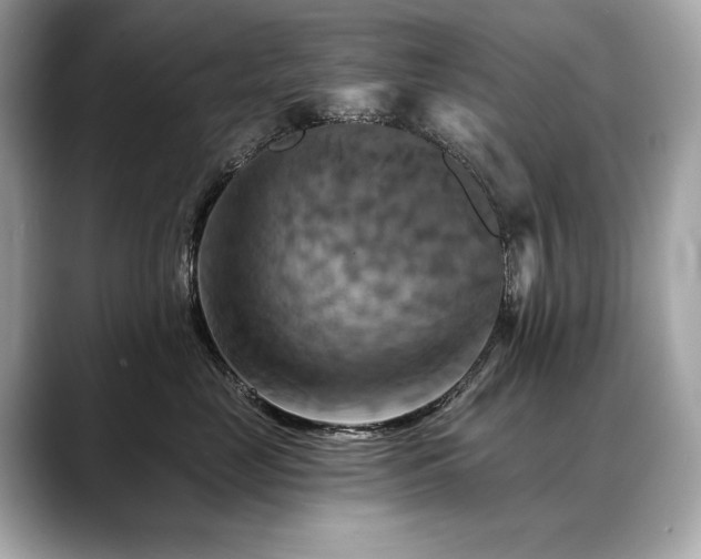 X0000088690669200705311157