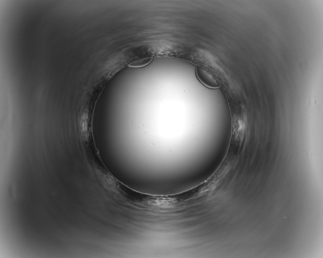 X0000088690670200705311157