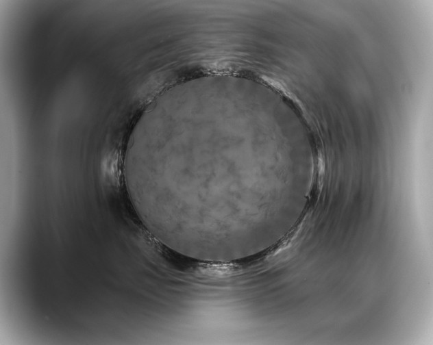 X0000088690671200705311158