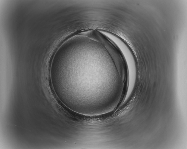X0000088690673200705311157