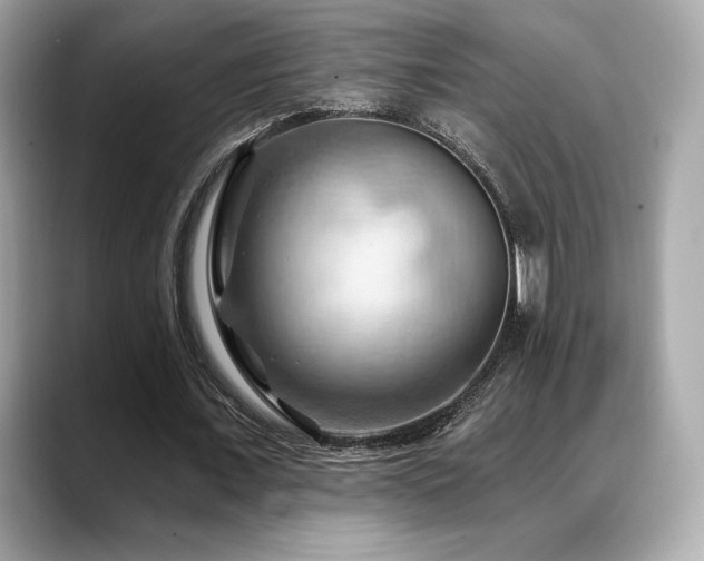 X0000088690675200705311157