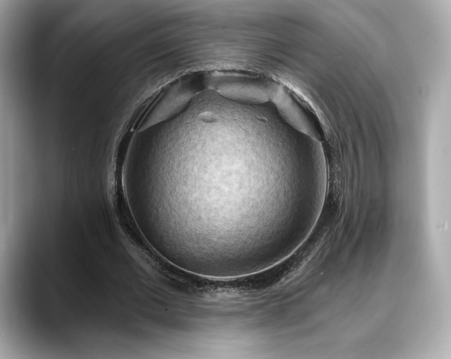 X0000088690677200705311157