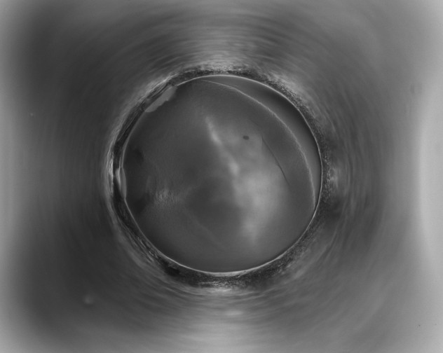 X0000088690678200705311157