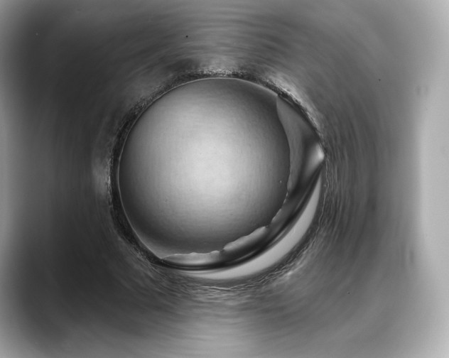 X0000088690681200705311157