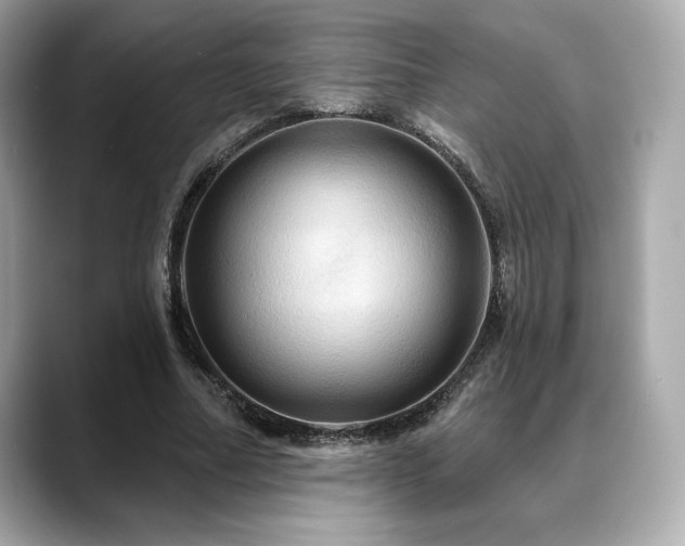 X0000088690682200705311157