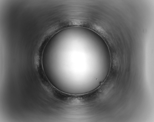 X0000088690683200705311157