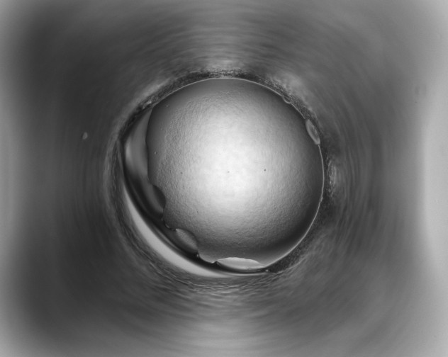X0000088690684200705311157