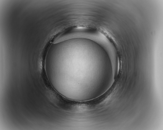 X0000088690685200705311157