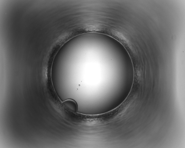X0000088690686200705311157