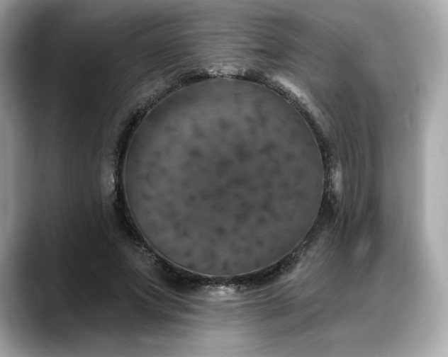 X0000088690687200705311157