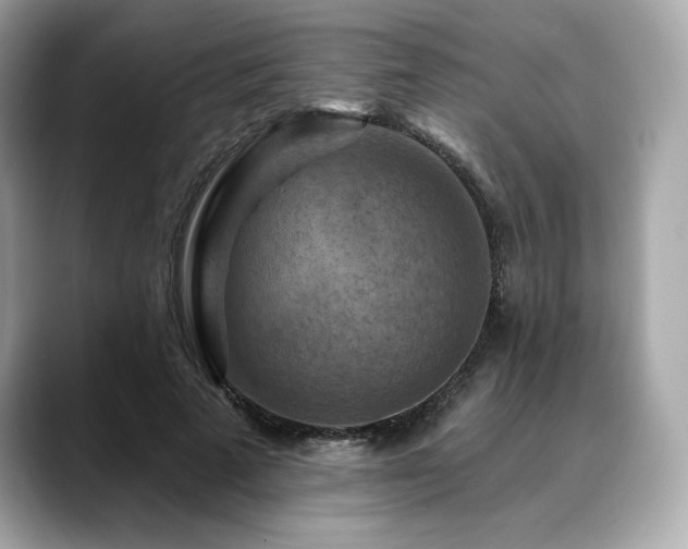 X0000088690689200705311157