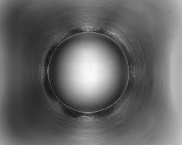X0000088690690200705311157