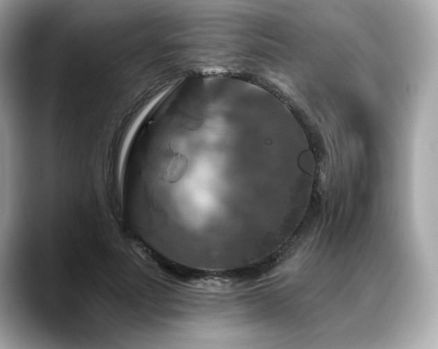 X0000088690691200705311157