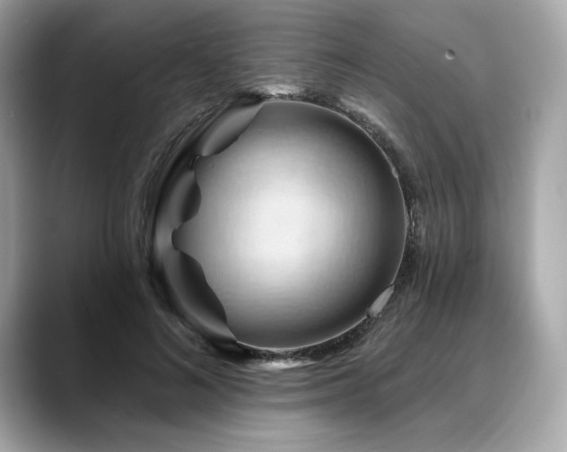 X0000088690692200705311157