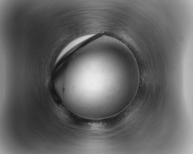 X0000088690693200705311157