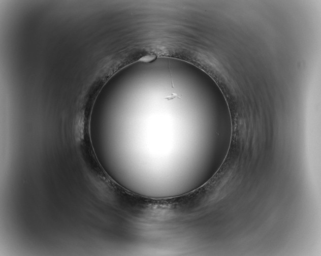 X0000088690694200705311157