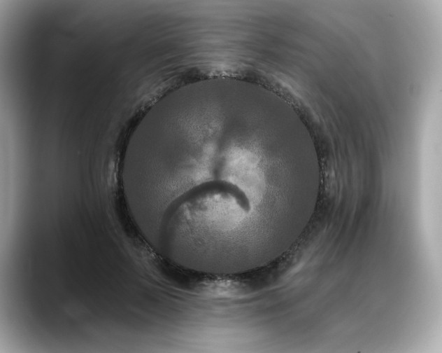 X0000088690695200705311157