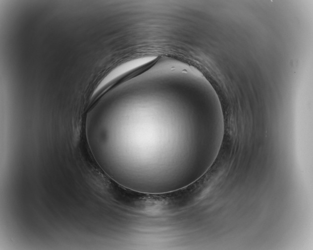 X0000088690697200705311157