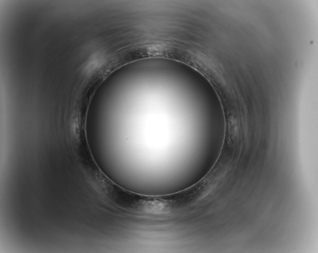 X0000088690698200705311157
