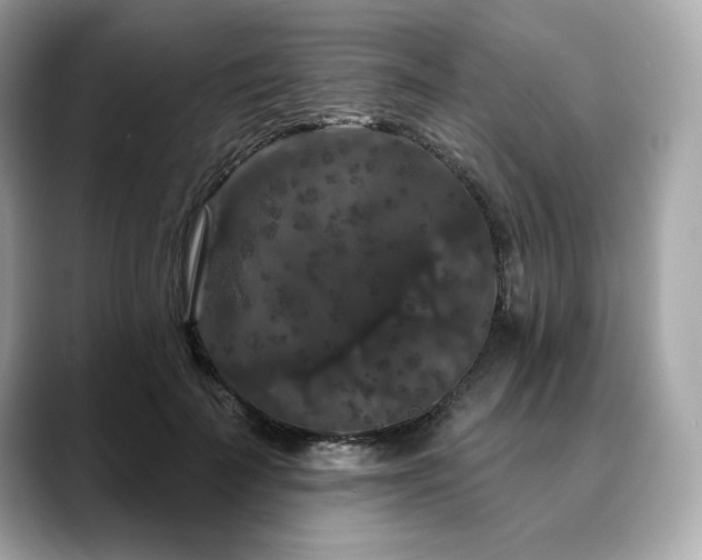 X0000088690699200705311157