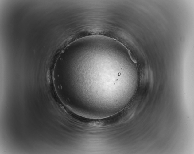 X0000088690700200705311157