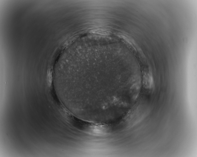X0000088690701200705311157