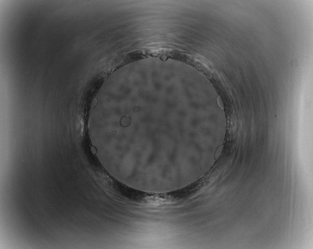 X0000088690703200705311157