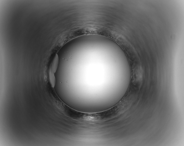 X0000088690706200705311157