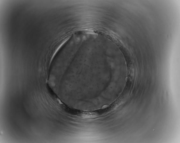 X0000088690707200705311157