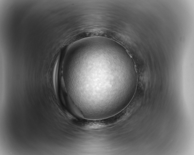 X0000088690708200705311157