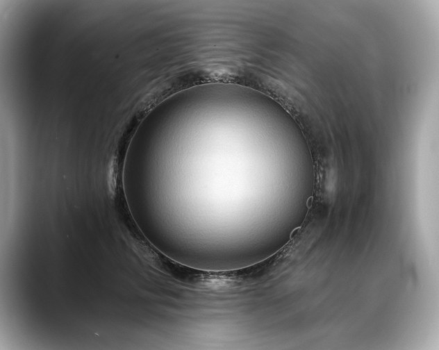 X0000088690710200705311157