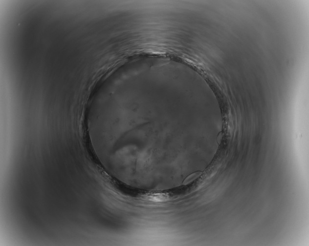X0000088690711200705311157