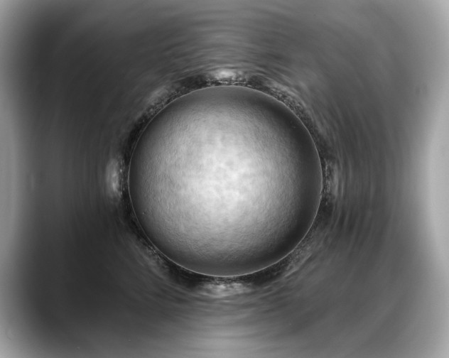 X0000088690712200705311156