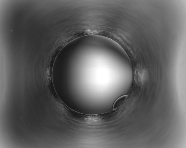 X0000088690714200705311156