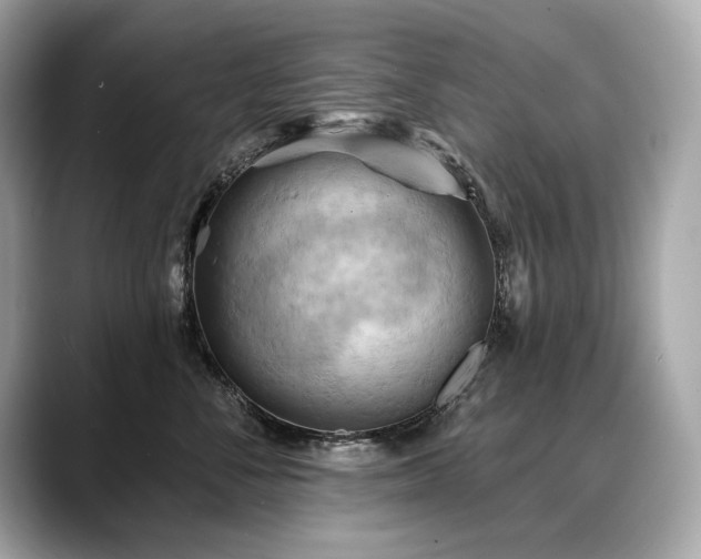 X0000088690716200705311156