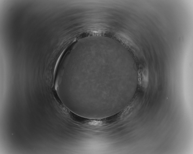 X0000088690718200705311156