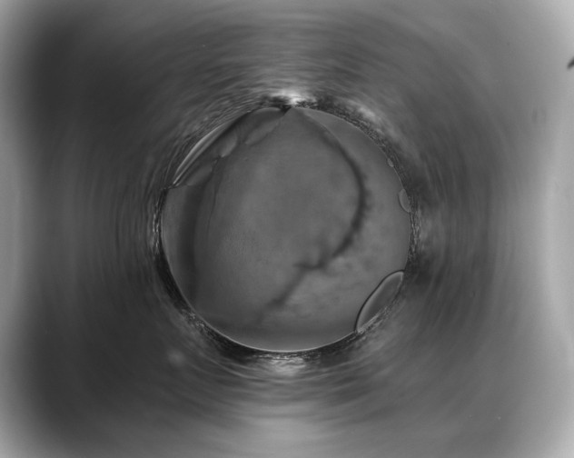 X0000088690719200705311156