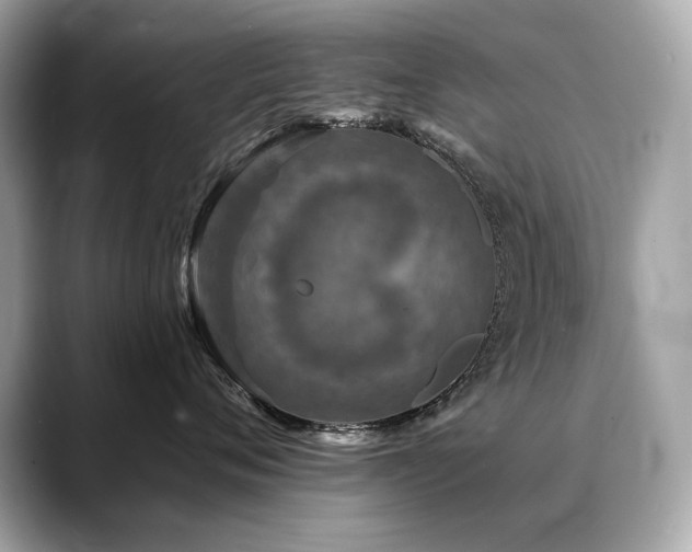 X0000088690720200705311156