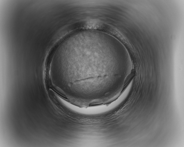 X0000088690722200705311156