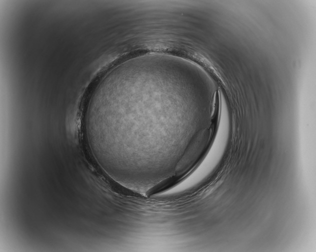X0000088690723200705311156